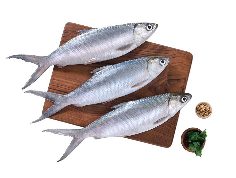 PT Pahala Samudera Fishery Industries